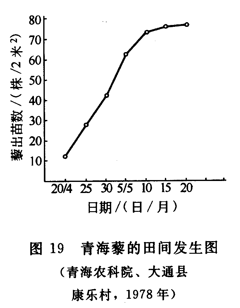 ຣ޼䷢